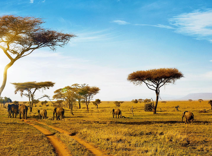 Africké safari - podujatie na tickpo-sk
